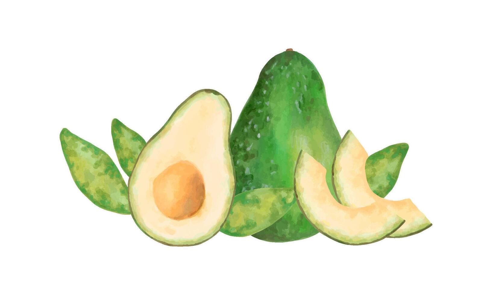 Avocado and slices with green leaves vector
