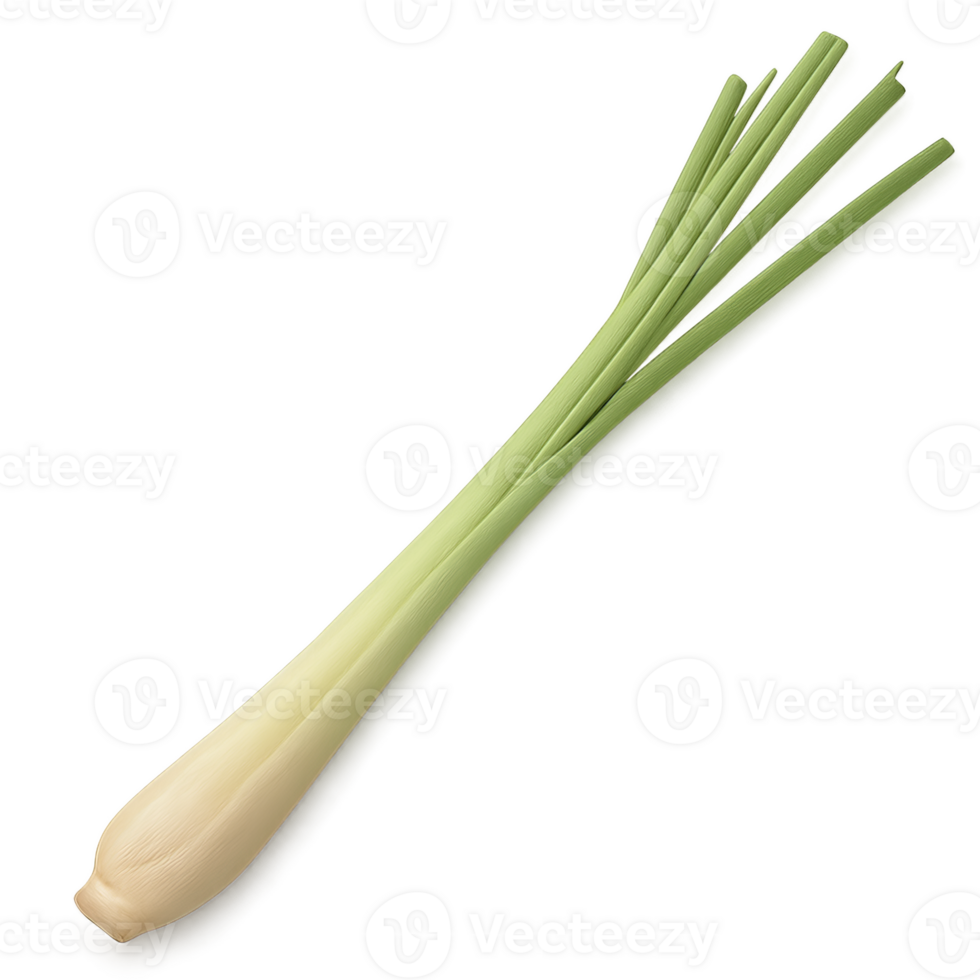 A Single Fresh Stalk of Lemongrass Isolated on a Plain Background png