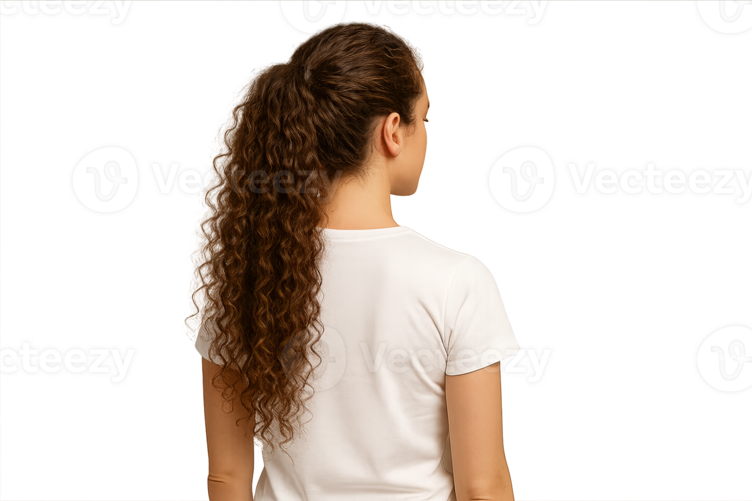 A Back View of a Woman with a Long and Healthy Curly Ponytail png