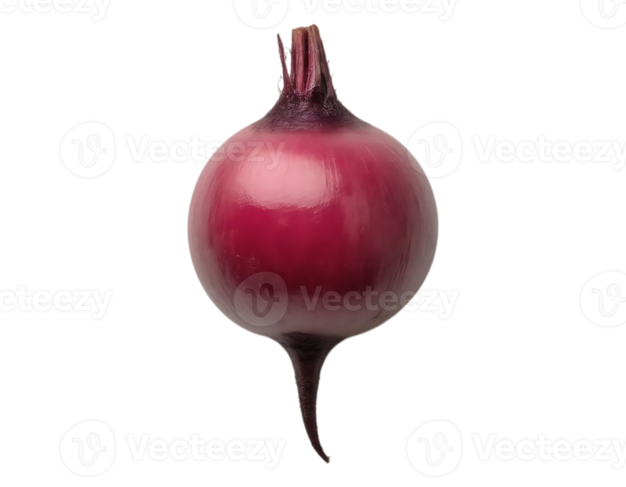 Vibrant Red Onion Isolated on Transparent Background png