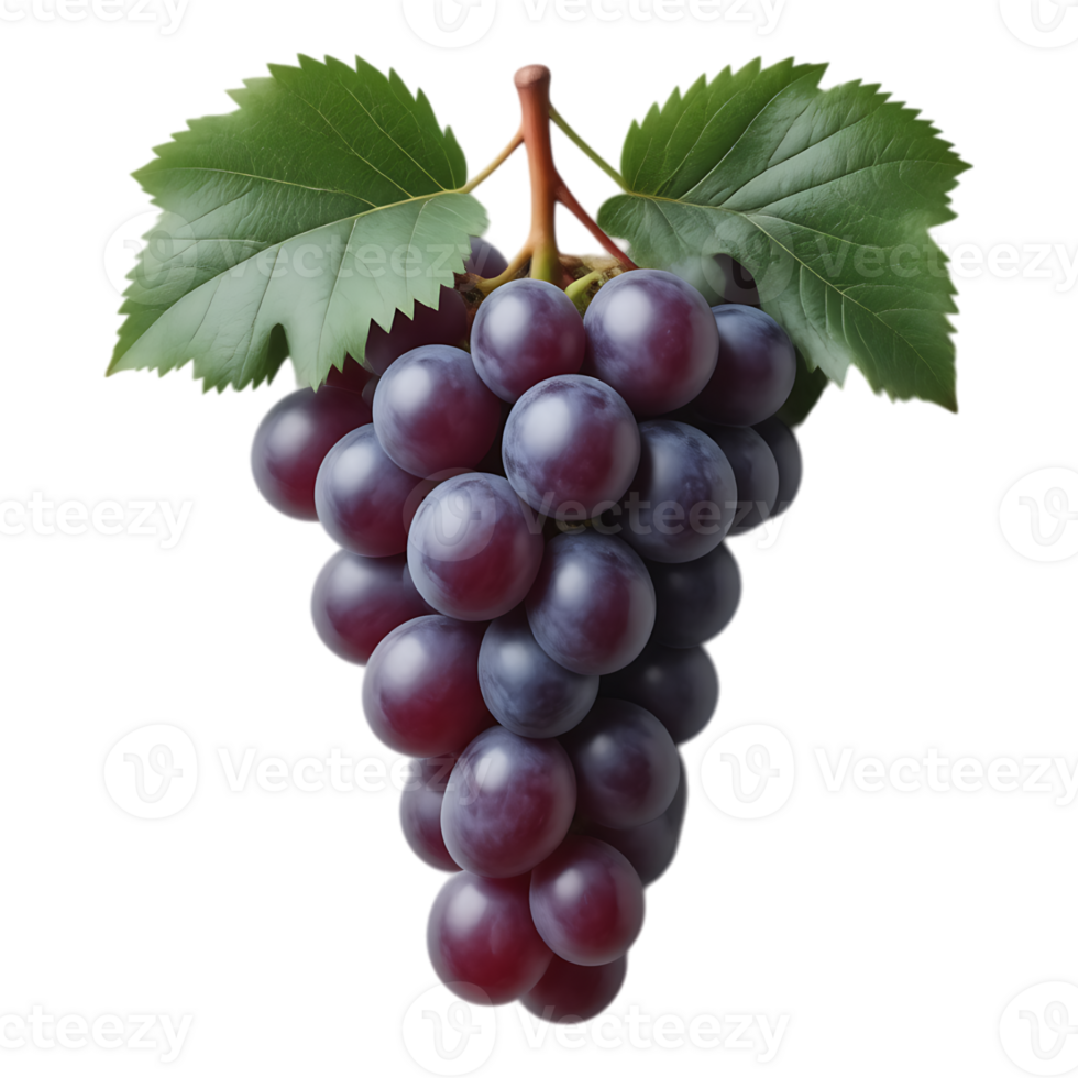 A vibrant cluster of ripe purple grapes with lush green leaves. png