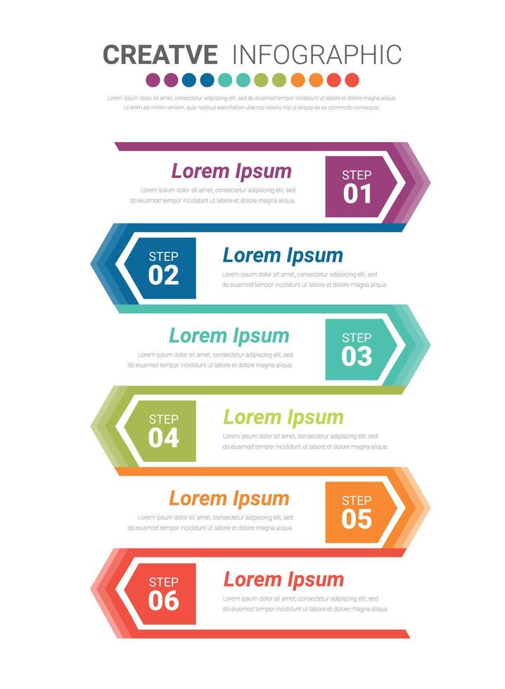 Infographic template with option can be used for workflow layout, diagram. vector