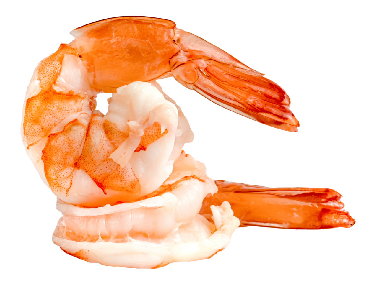 two cooked shrimp isolated png