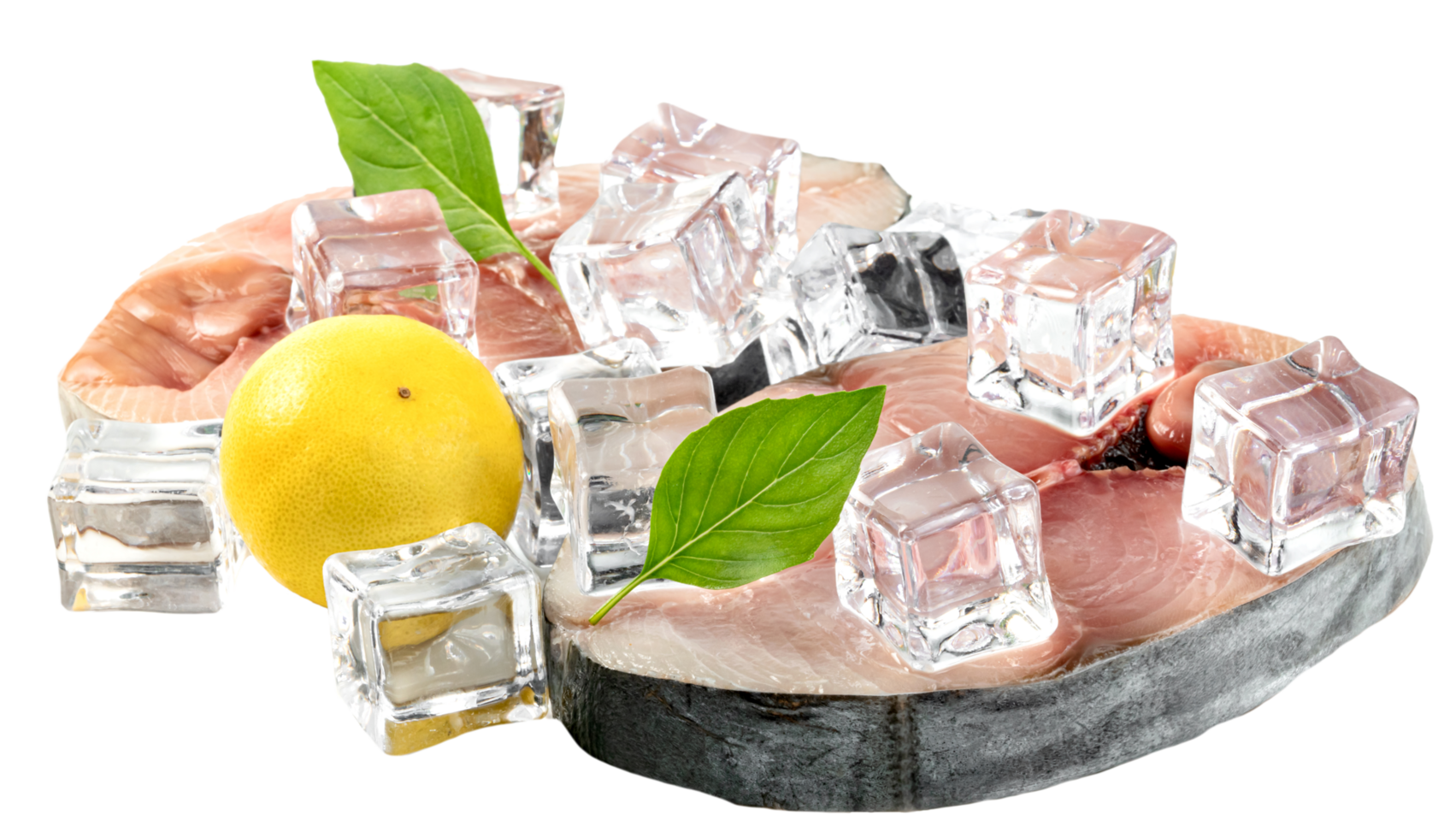 Spanish mackerel slice or spotted mackerels with lemon and leaf basil and ice cube isolated, Scomberomorus png
