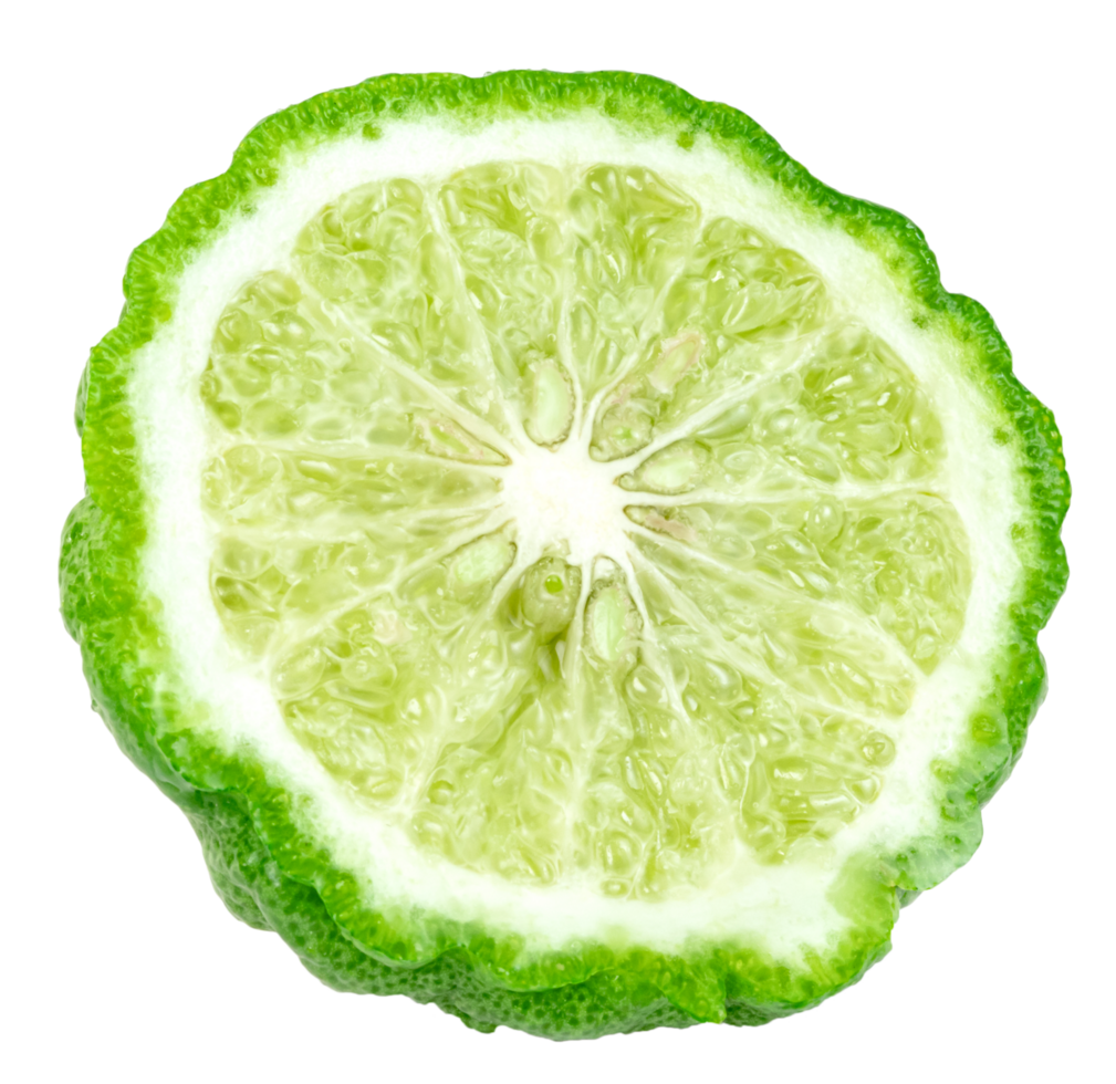 fresh bergamot fruit half isolated png