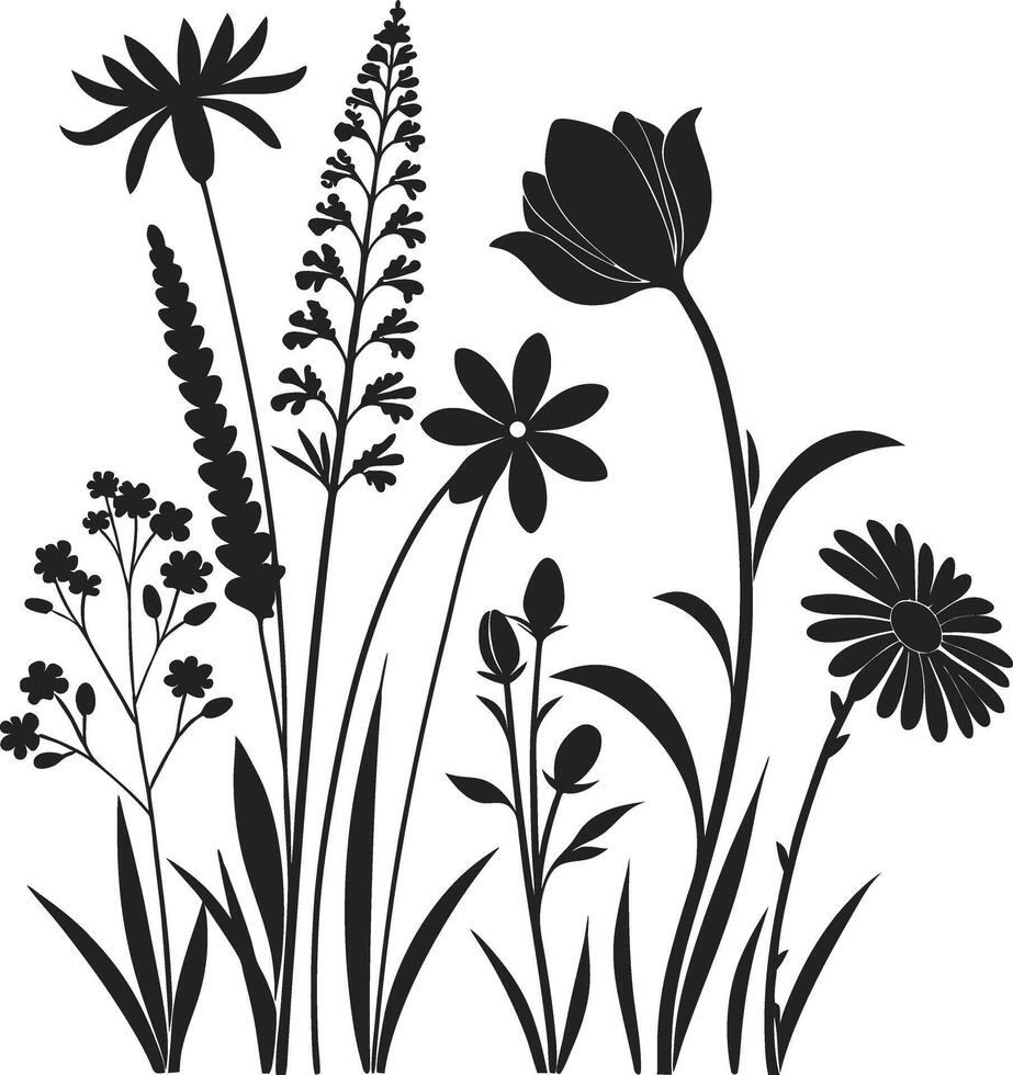Elegant Flower Outline Graphic Set vector