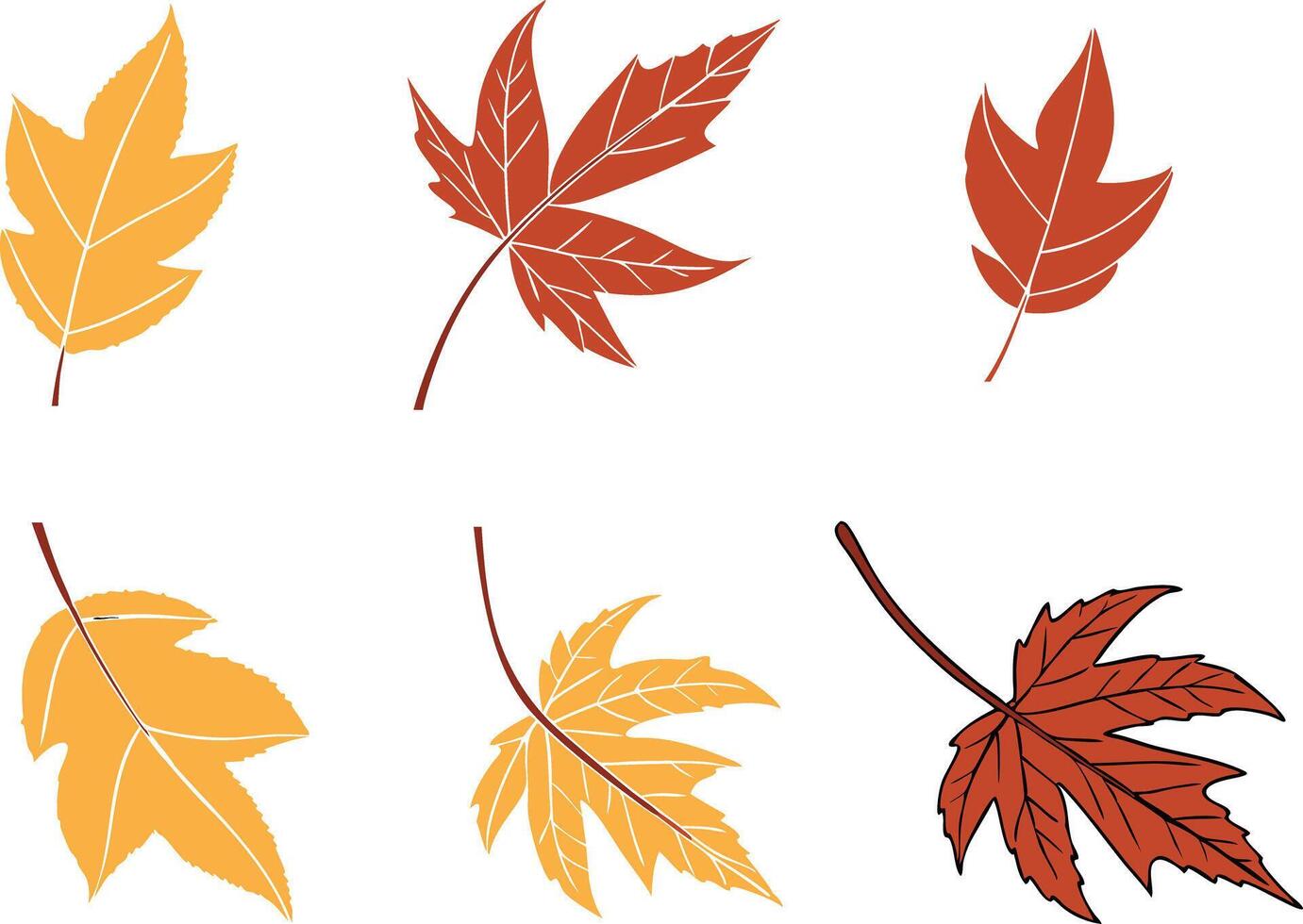 September Autumn Leaf Design for Greeting and Print Use vector