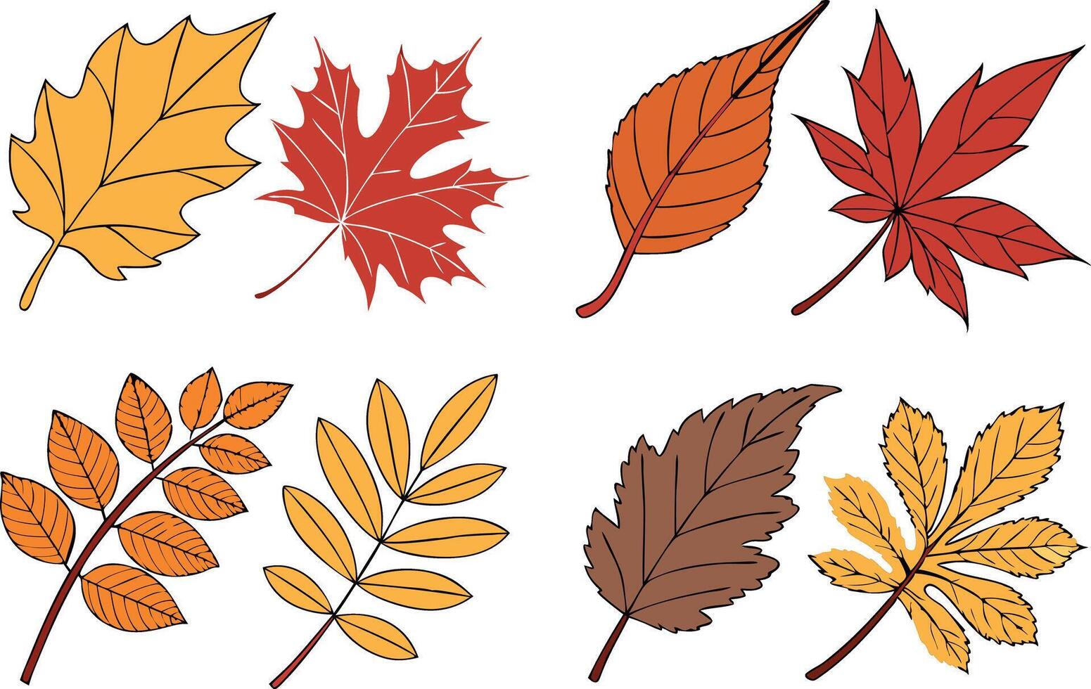 Autumn Leaves Illustration Set for September Seasonal Design vector