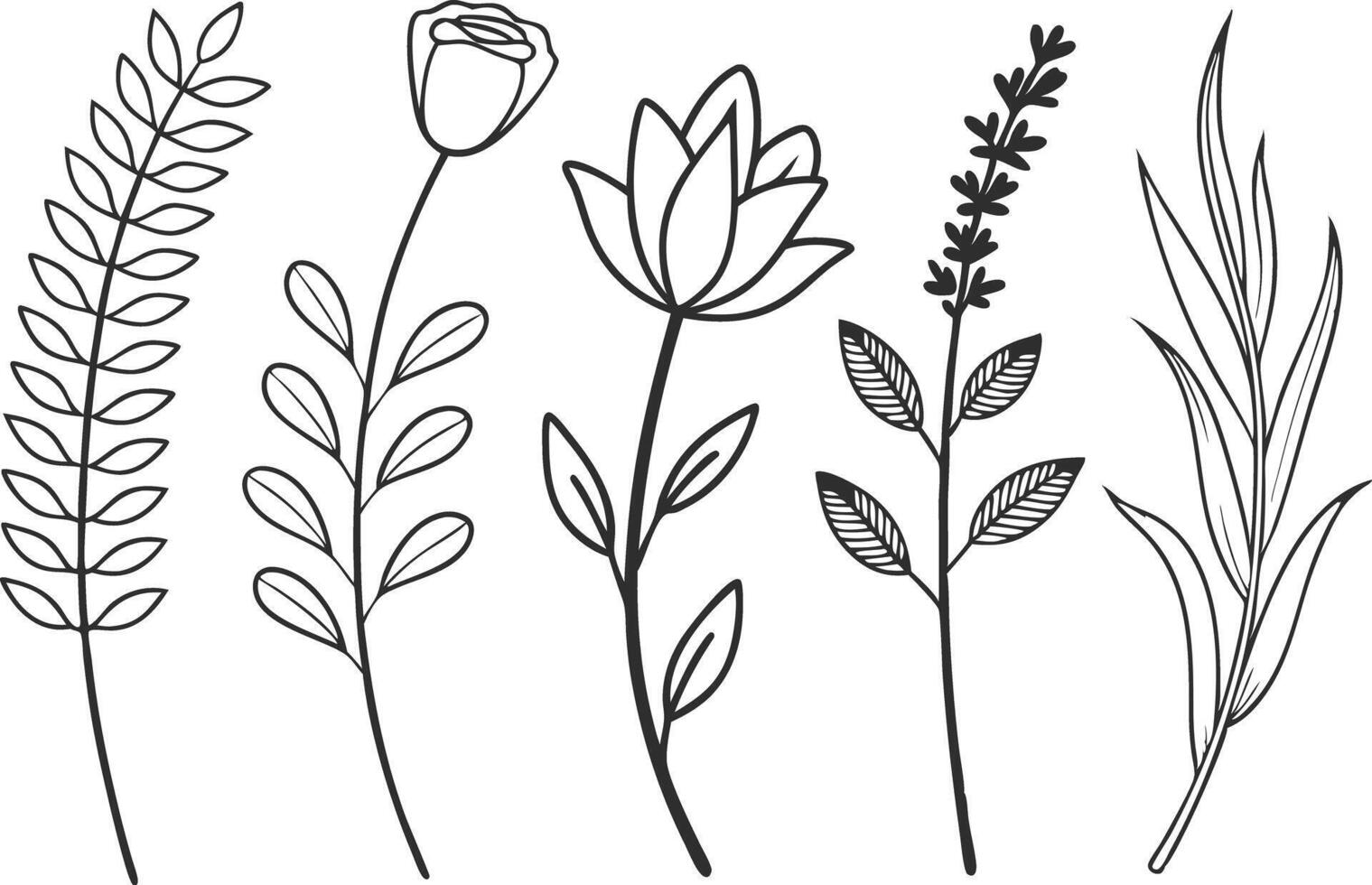 Hand Drawn Plant Line Art Icons vector