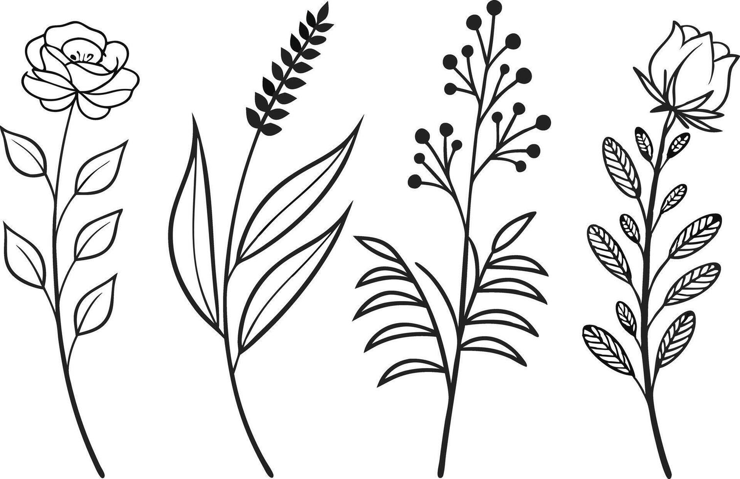 Elegant Botanical Line Drawing Icons vector