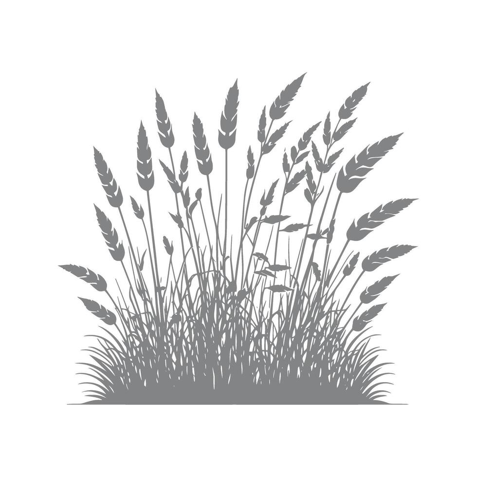 Silhouette of wheat and grass Illustration vector