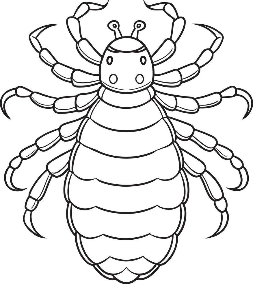 Lice insect line art for bug education and classroom coloring activity vector