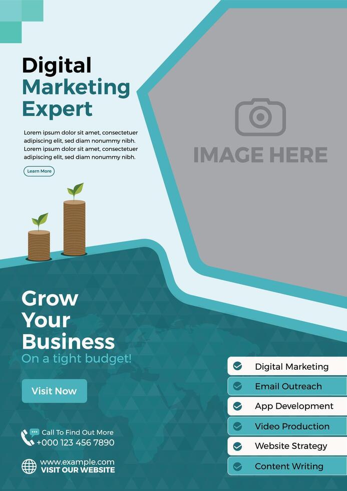 Digital Marketing Expert Flyer for Business Growth and Budget Promotion vector