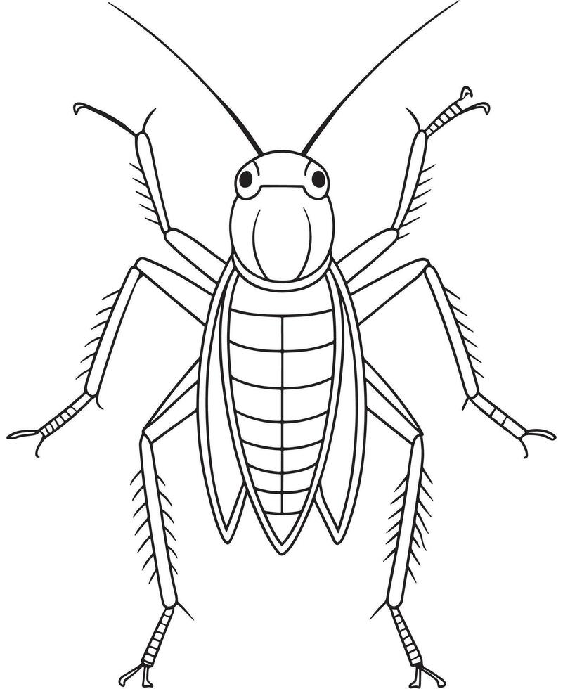 Weta insect illustration for classroom bug learning and coloring vector