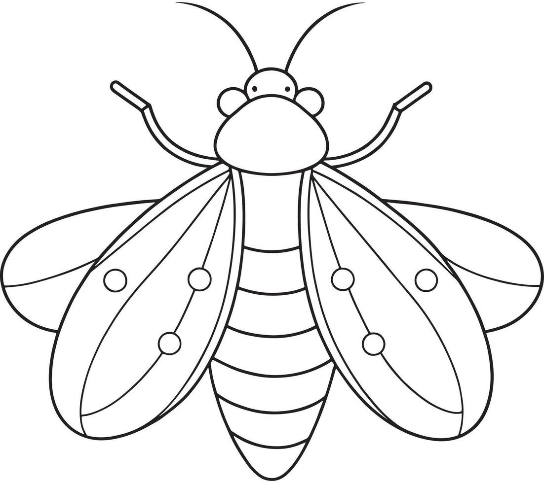 Firefly cartoon line art for kids bug learning and coloring pages vector