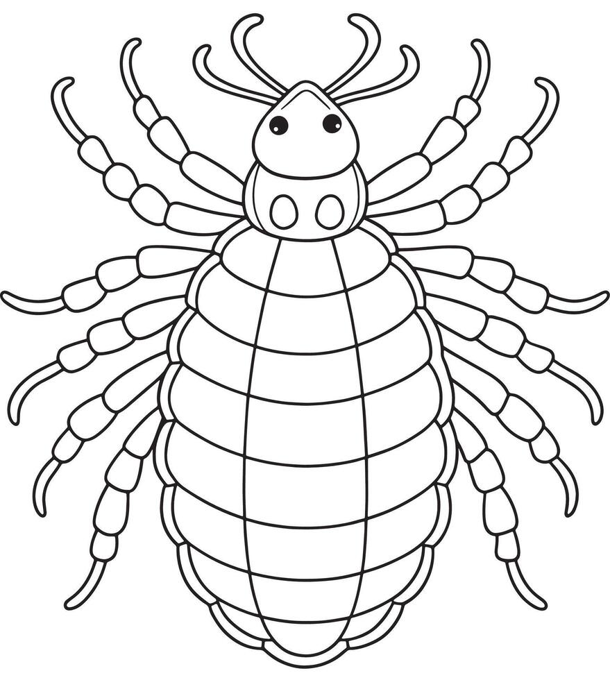 Lice parasite drawing for science learning and printable coloring pages vector