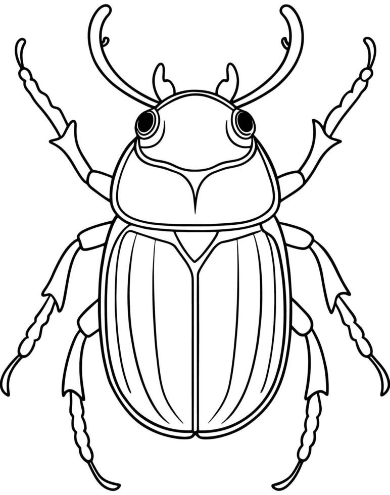 Hercules beetle drawing for kids bug coloring and insect learning pages vector