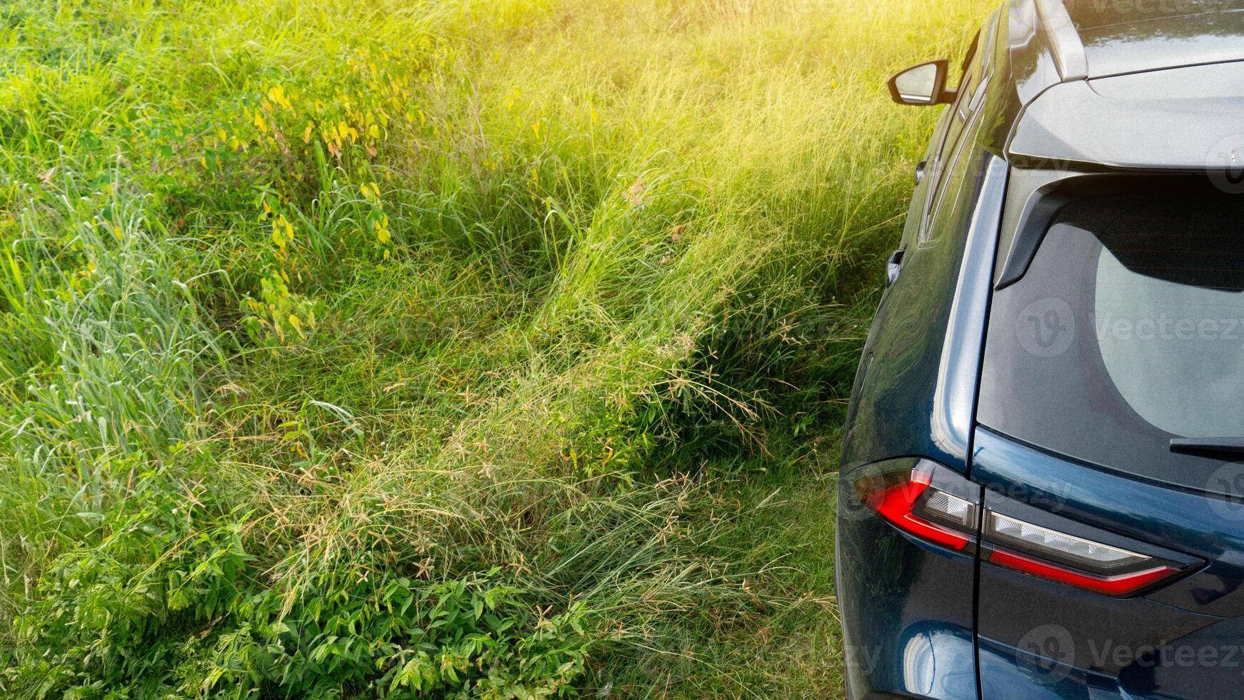Top view of the rear of a navy blue car. Driving through the lush green grass. photo