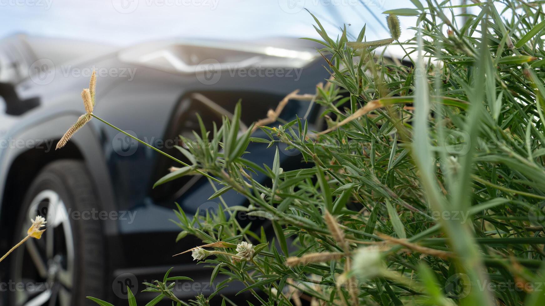 Blurred front view of a dark car parked on a grass field. Green grass with flowers arranged in front. Under a bright white sky. photo