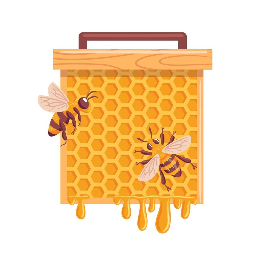 A vibrant illustration featuring bees buzzing around honeycombs. The intricate hexagonal patterns of the honeycomb are highlighted, showcasing the industrious nature of bees vector