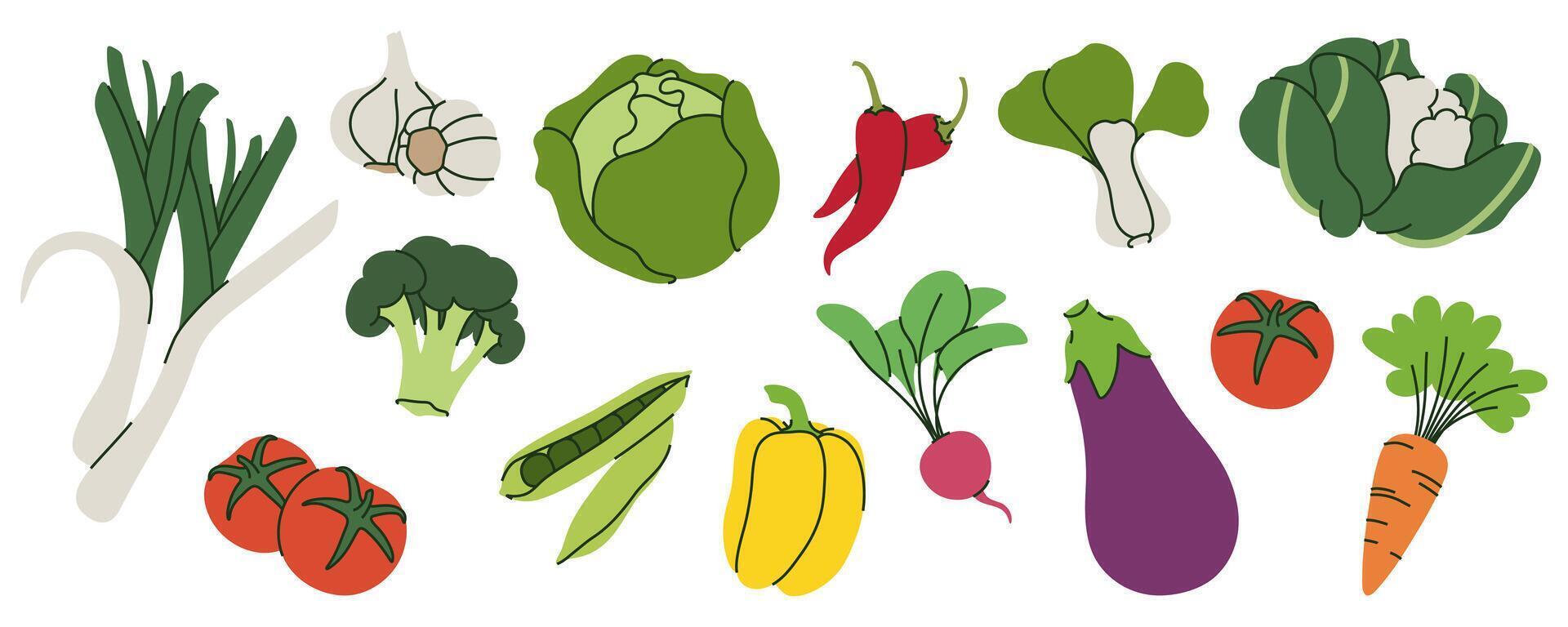 Fresh vegetables assortment with garlic and broccoli vector