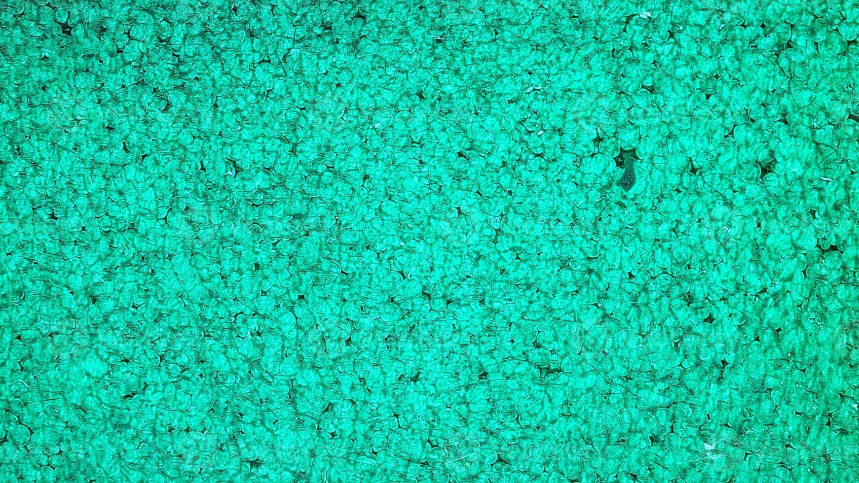 a green carpet with a few small spots of dirt photo