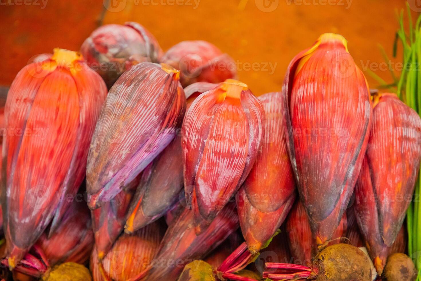 Young large red Banana blossom. ingredient and natural background photo