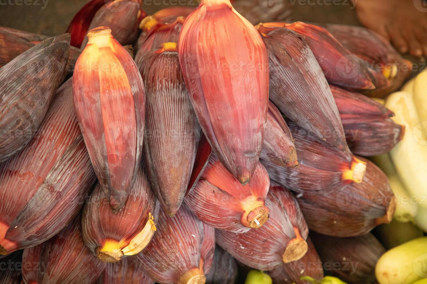 Young red Banana blossom. Asian cuisine ingredient and natural background photo