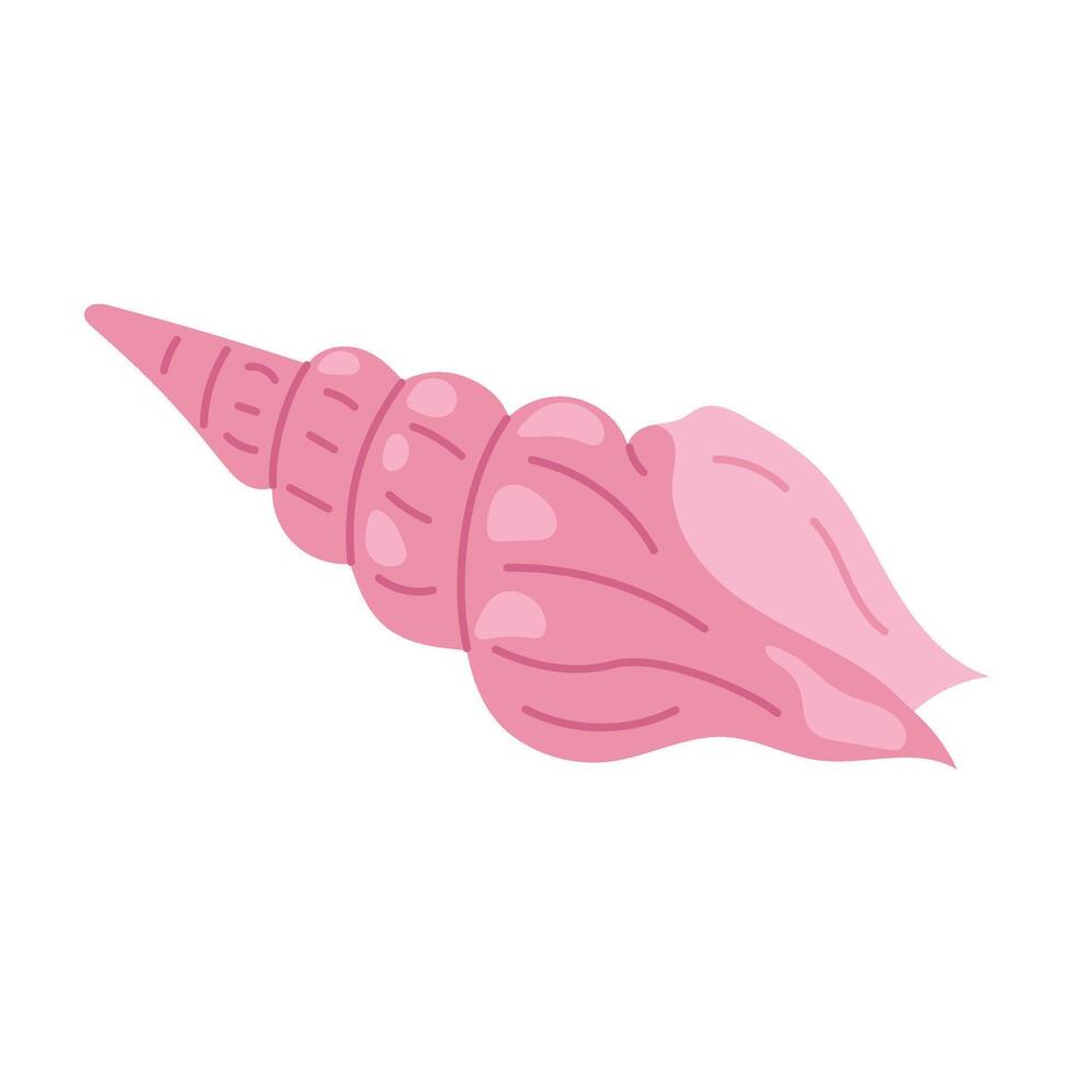 Sea pink shell. Hand drawn underwater elements. Illustration for summer, ocean design, beach decor, kids projects. vector