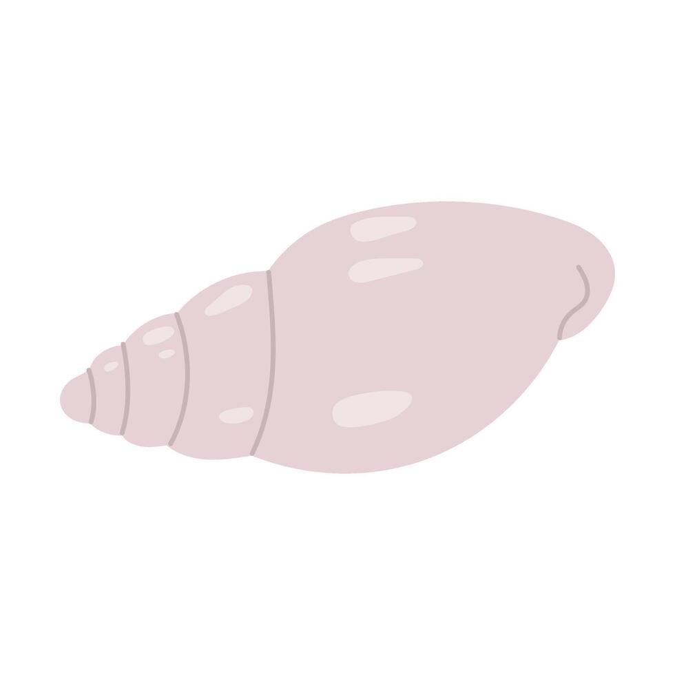 Sea shell. Hand drawn underwater elements. Illustration for summer, ocean design, beach decor, kids projects vector