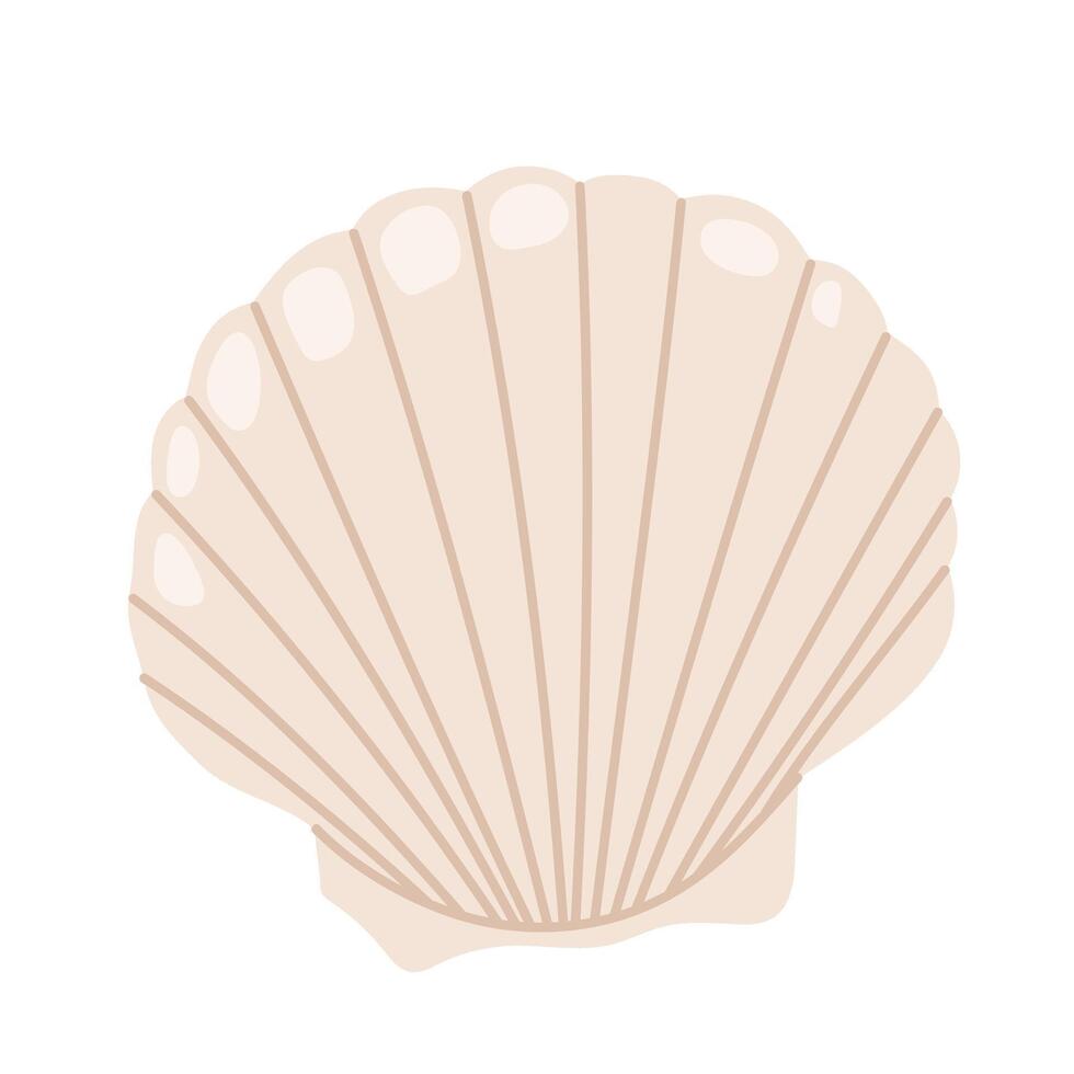 Sea shell scallop. Hand drawn underwater elements. Illustration for summer, ocean design, beach decor, kids projects. vector