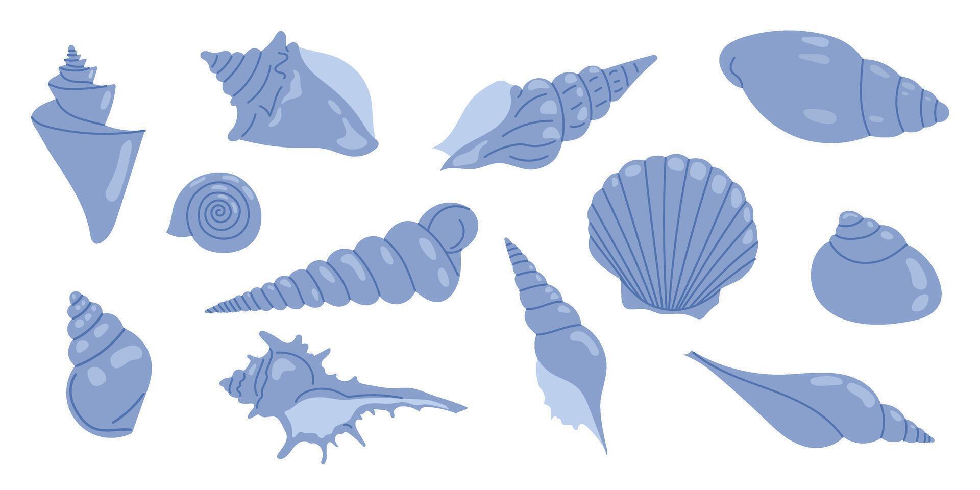 various blue seashell illustrations vector
