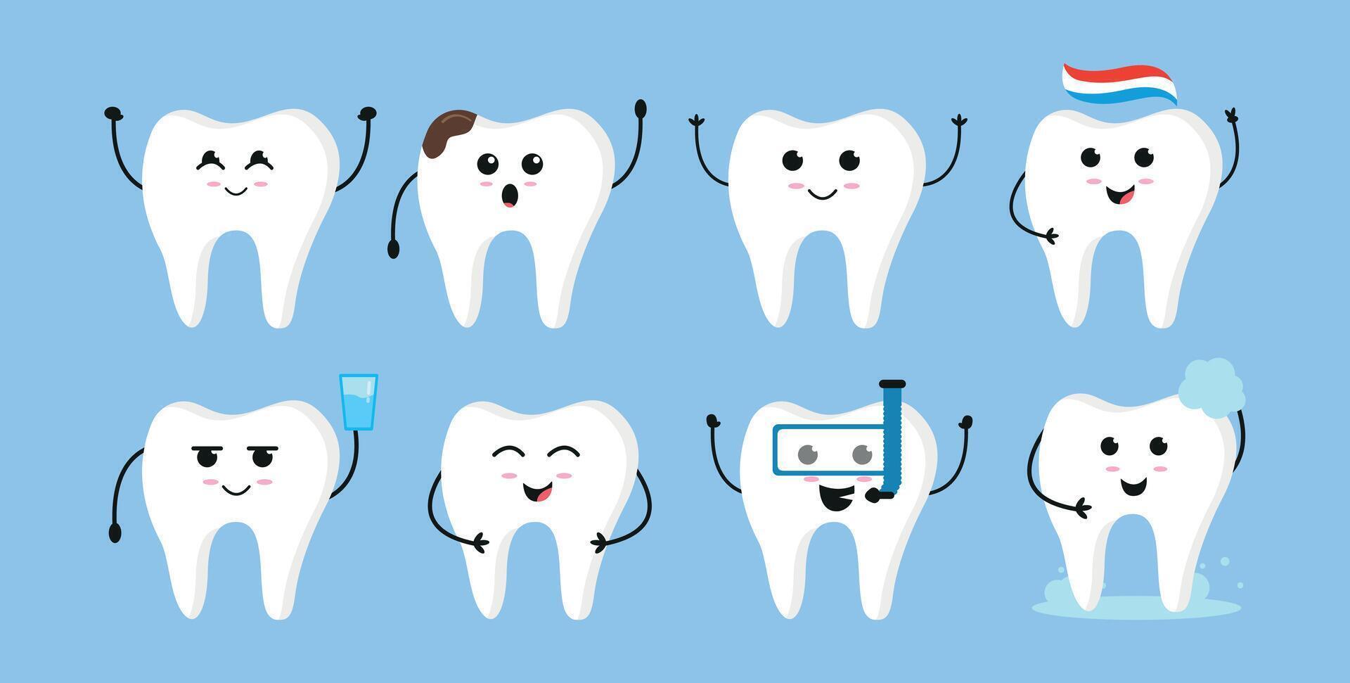 Cute cartoon tooth characters vector