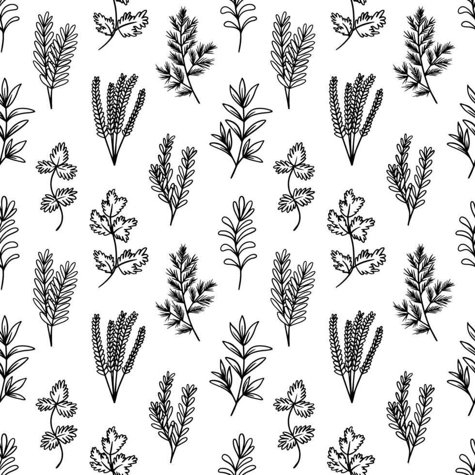 Cooking herbs and spices hand drawn seamless pattern on white background vector