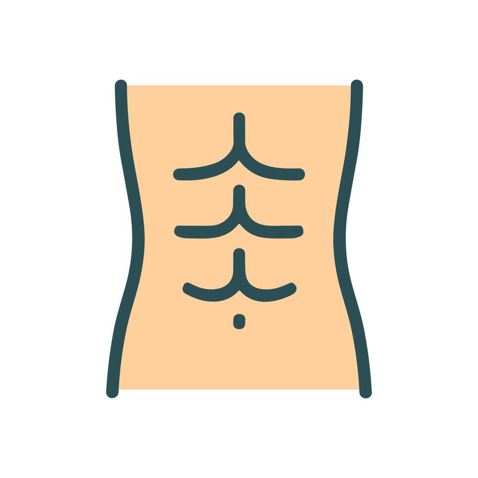 Defined abdominal muscles illustration. Icon symbol illustration vector