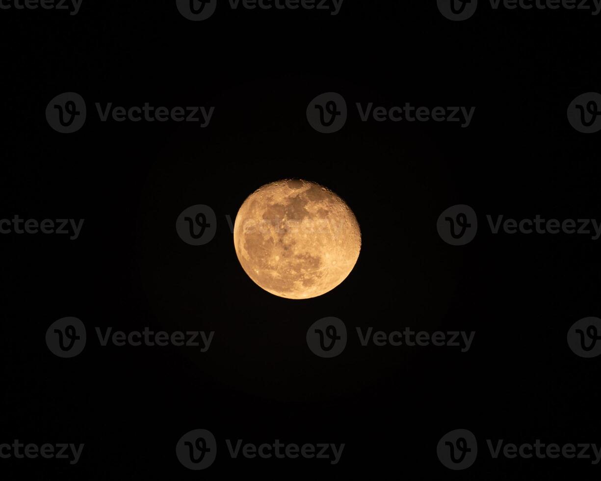 The Moon glowing with rugged texture in the night sky photo