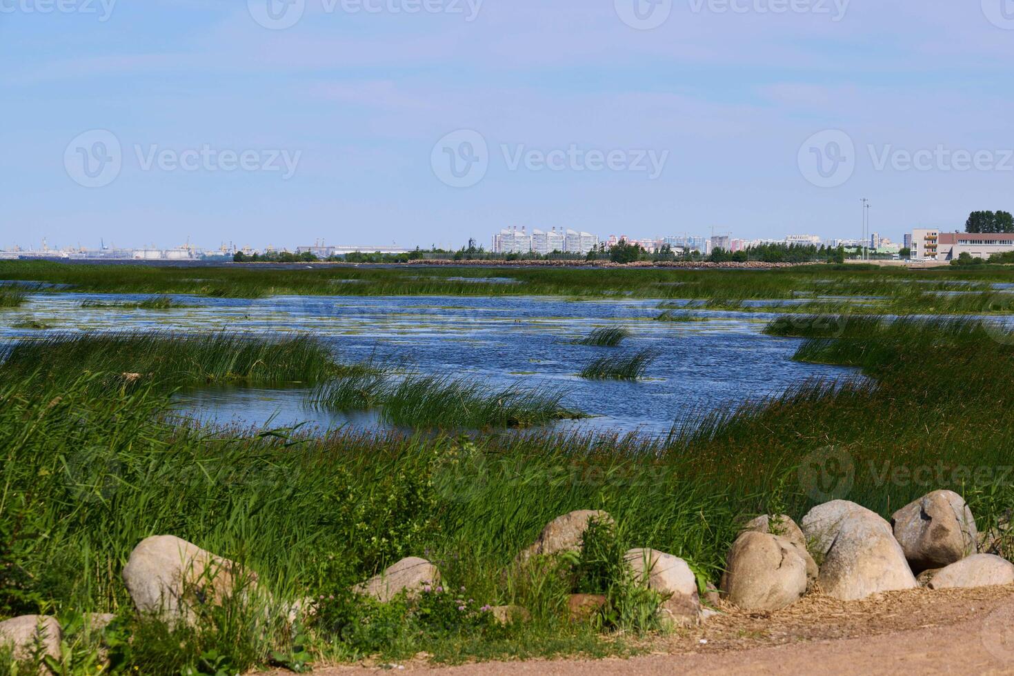 Tranquil Wetlands adorned with Lush Greenery and Serene Blue Waters inviting calmness photo