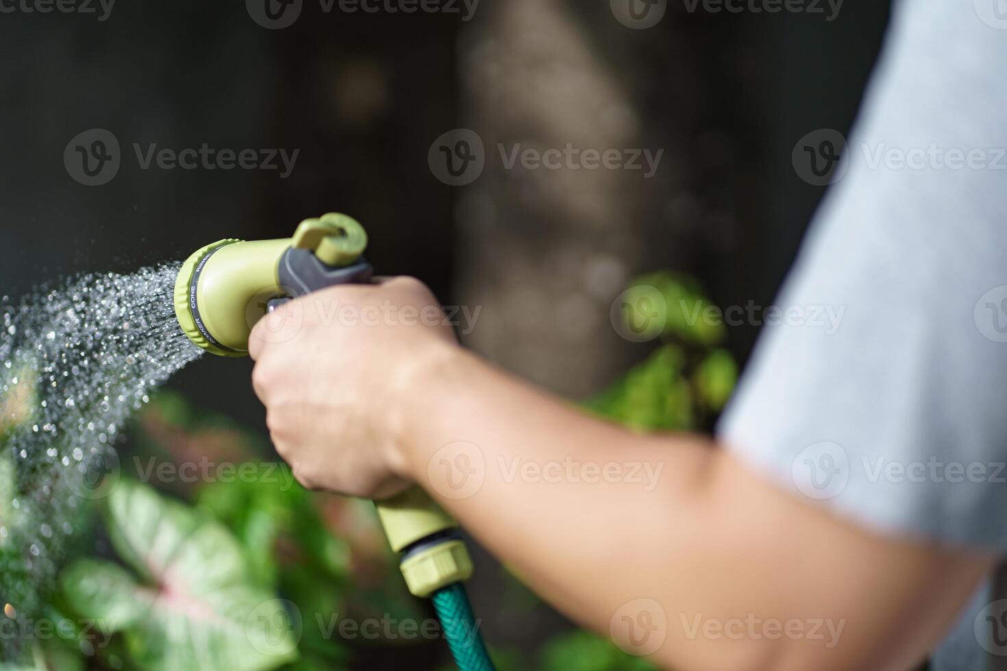 a man is watering a plant with a hose at home photo