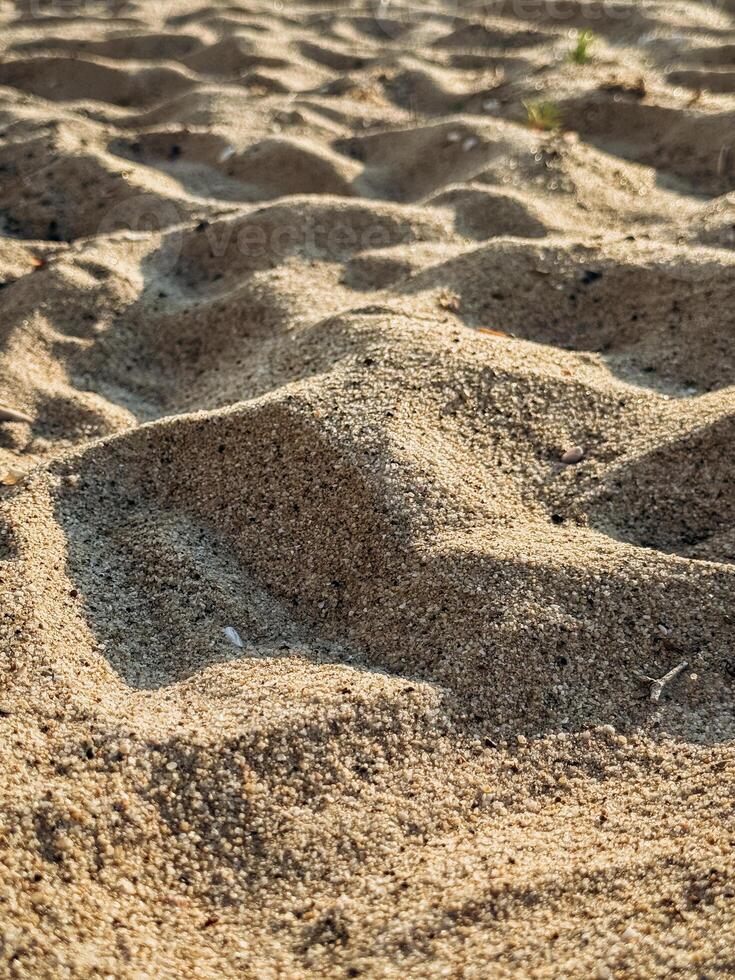 High resolution image of fine beach sand with subtle natural grain texture captured under sunlight perfect for background use in design or organic product presentation Textured Sand Close-Up with Gent photo
