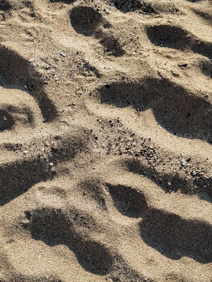 Footprints on Sandy Beach Closeup view of human footprints in soft beach sand lit by sunlight perfect for themes of travel solitude nature memory and storytelling in visual and editorial design photo