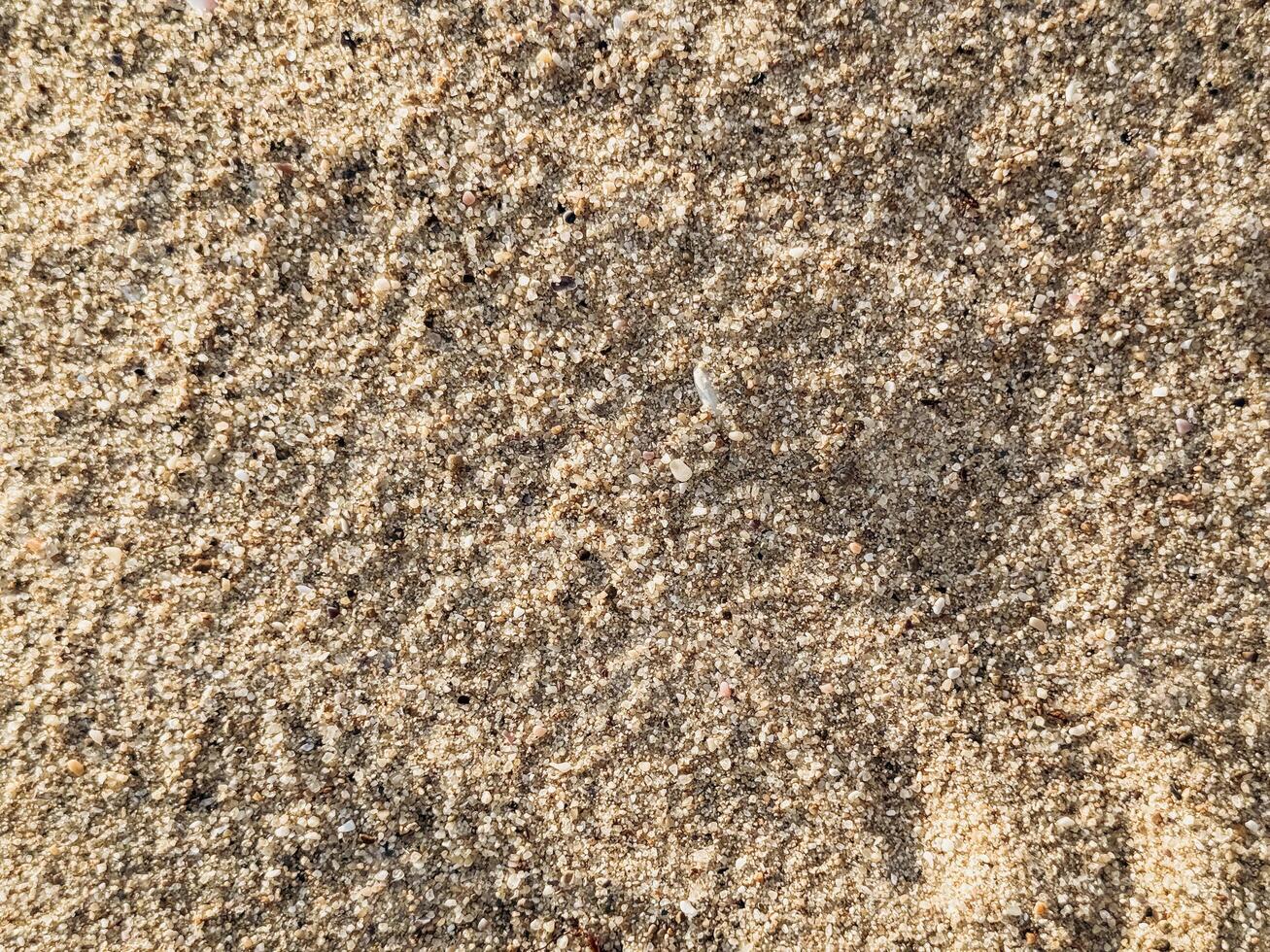Close-Up of Fine Golden Sand High resolution image of fine beach sand with subtle natural grain texture captured under sunlight perfect for background use in design or organic product presentation photo