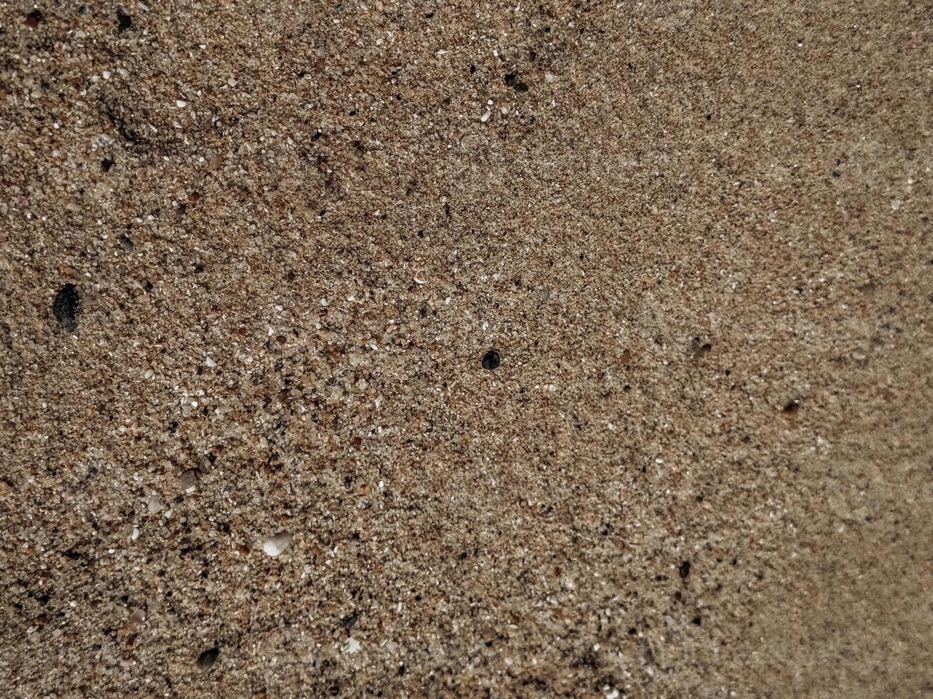 Close-Up of Sandy Texture Closeup of sandy wall texture featuring natural granular patterns and earthy color tones ideal for eco branding organic packaging nature-inspired design and abstract earthy v photo