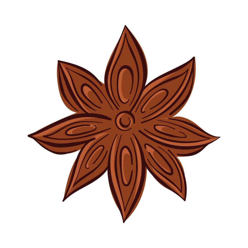 Star anise spice with petal segment in flat style. Perfect for culinary logo, spice shop packaging, herbal product decoration and botanical illustration. vector