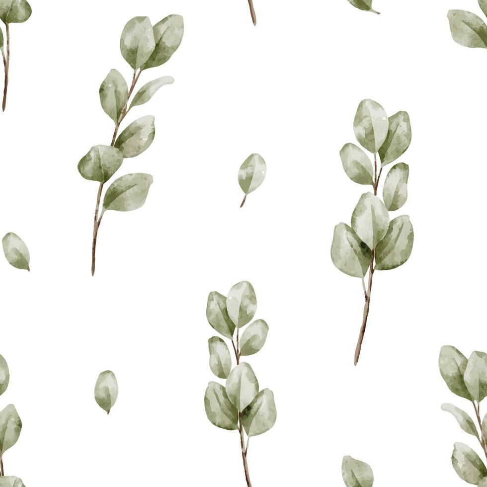 watercolor eucalyptus leaves pattern vector