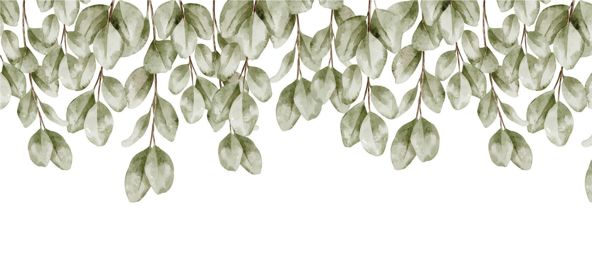 Watercolor illustration of botanical seamless Border with Eucalyptus branches and leaves. Drawing of Frame for wedding invitation, stationery backgrounds and Baby shower greeting cards. vector