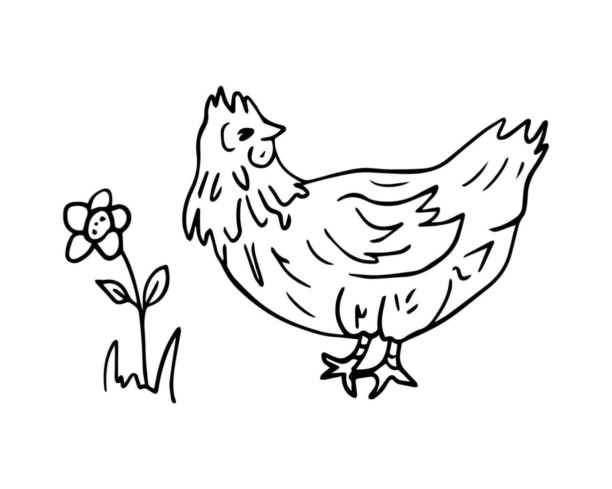 chicken and flower, drawing in doodle style. Farm animals is a monochrome hand-drawn contour illustration. A happy chicken for a brand of home products. vector