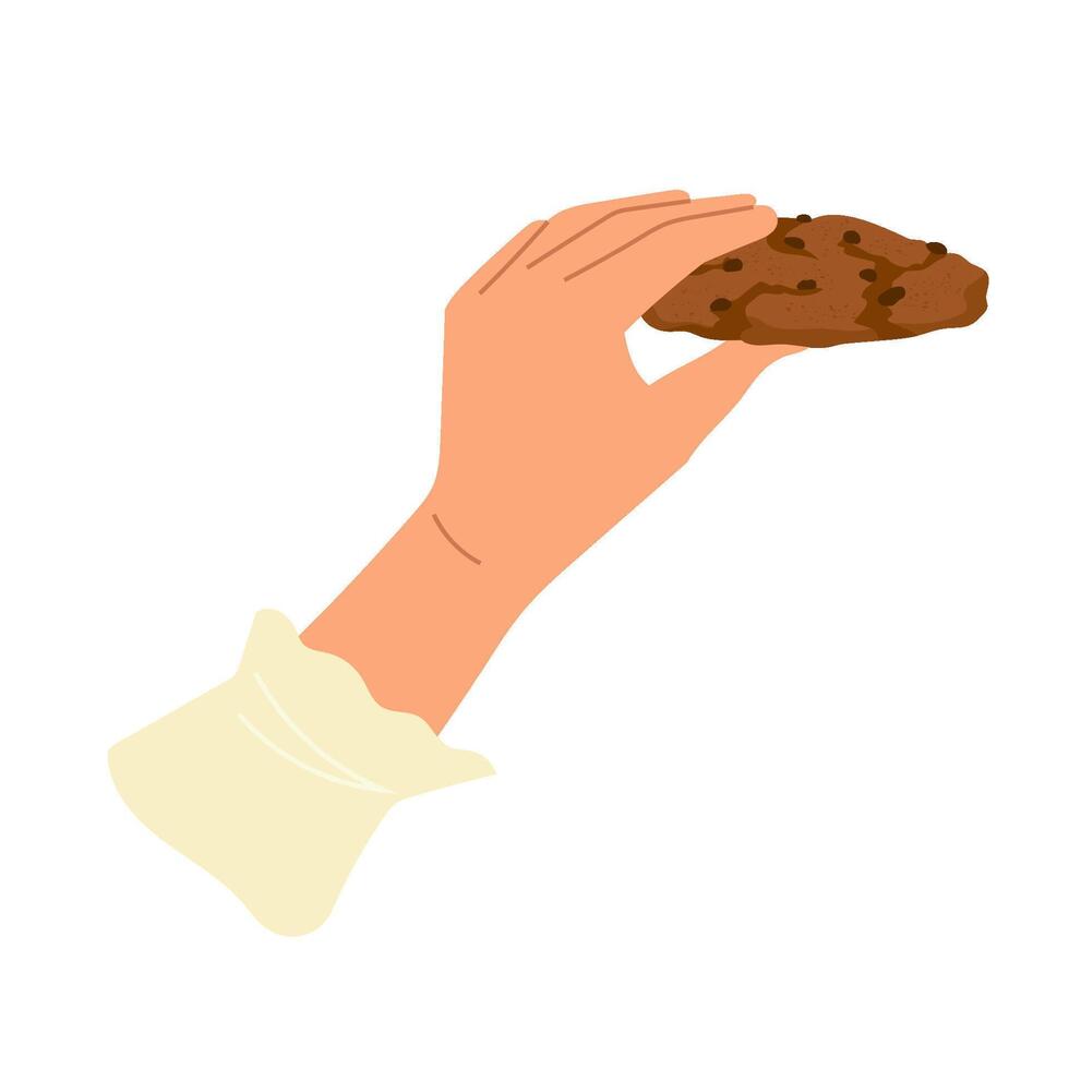 Hand holding chocolate brownie cookie. Sweet dessert for breakfast or snack. Design elements for banner, poster, menu design, print Food themed illustration isolated vector