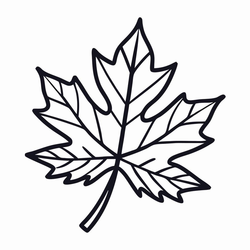 Black and White Simple Maple Leaf Illustration vector