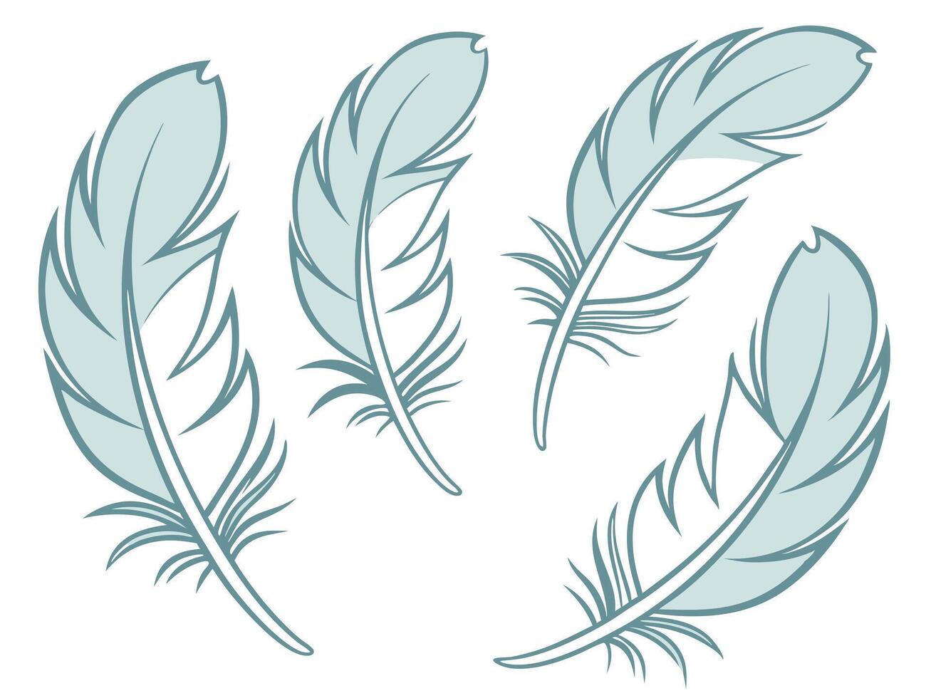 illustration of four elegant light blue feathers on a pristine white background for various creative designs. vector