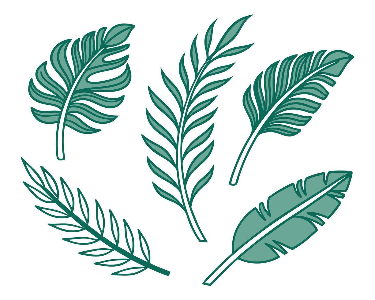 illustration showcasing a collection of hand drawn tropical leaves in a charming simplistic design. vector